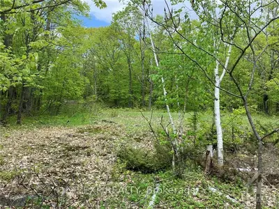 Lot 29 Red Pine Road, Tay Valley, On K0h 2b0