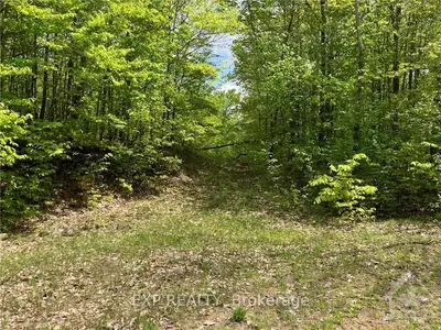 Lot 30 Red Pine Road, Tay Valley, On K0h 2b0