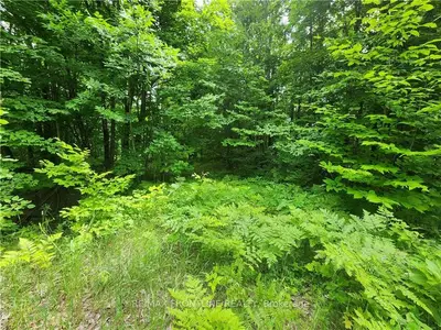 Vacant Land in Tay Valley