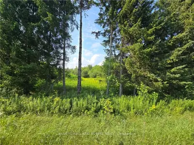 00 Black River Road, South Stormont, On K0c 1b0