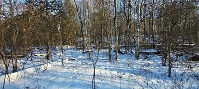 South Lt 1 Con 2 Otter Lake Road, Rideau Lakes, On K0g 1l0