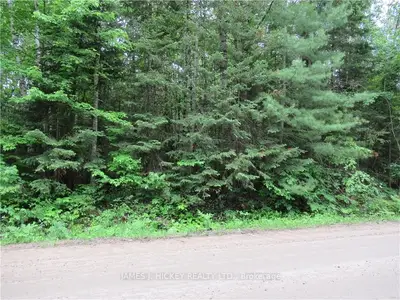 Vacant Land in Laurentian Hills