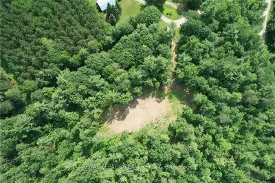 25 Panke Road, North Algona Wilberforce, On K0j 1x0