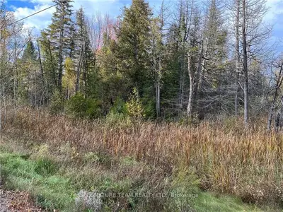 Lt 9 Foymount Road, Bonnechere Valley, On K0j 1m0