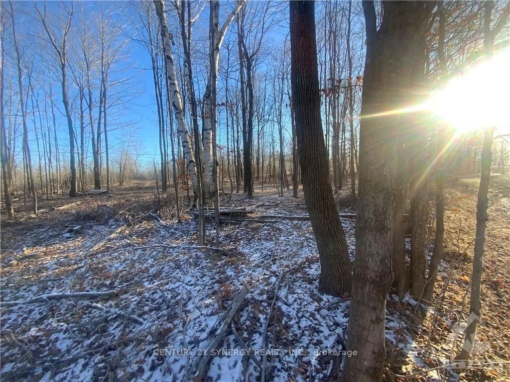 00 Little Crosby Lake Road 1, Rideau Lakes, On K0g 1x0