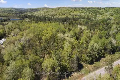2411 Paugh Lake Road, Madawaska Valley, On K0j 1b0