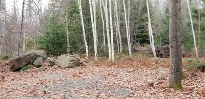 Lot 21 Mitchell Road, Madawaska Valley, On K0j 1b0