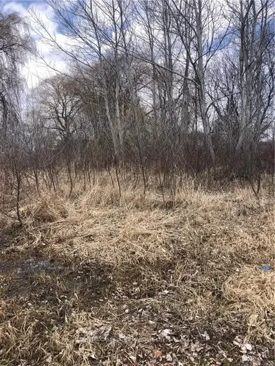 Lot 59th Avenue, South Glengarry, On K0c 1n0