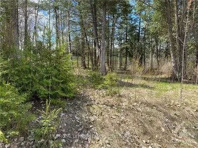 0 Morning Flight Court 5, Greater Madawaska, On K0j 1h0