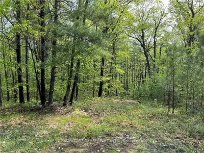 Lt 36 CEMENT BRIDGE Road, North Algona Wilberforce, ON K0J 1X0