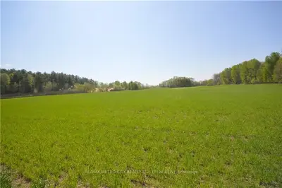 00 DUPUIS Line, Whitewater Region, ON K7V 2L0