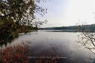 Lot 1 OPEONGO Road, Bonnechere Valley, ON K0J 1T0
