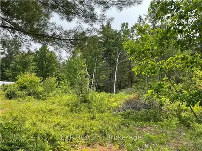 71 SPRUCEDALE Avenue, Madawaska Valley, ON K0J 1B0