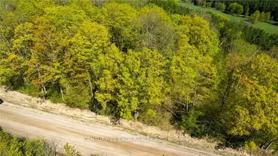 0 MCCAULEY MOUTAIN Road, Bonnechere Valley, ON K0J 1M0