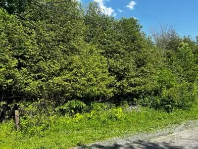 4325 LOUIS-FORGET Road, Greely - Metcalfe - Osgoode - Vernon and Area, ON K0A 2W0