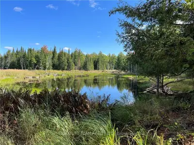 Lt 14 Con. 9 CONSTANT LAKE Road, Bonnechere Valley, ON K0J 1T0