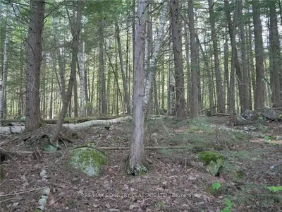 PL2728-2 YAKABUSKI Road, Madawaska Valley, ON K0J 1B0
