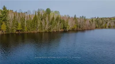 0 MCMASTER LAKE Lane, Madawaska Valley, ON K0J 1B0