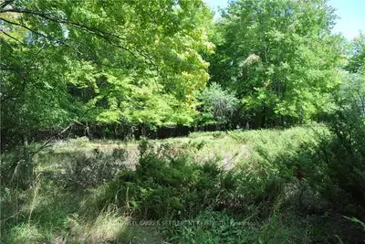 0 OTTY LAKE SIDE Road, Drummond/North Elmsley, ON K7H 0E8