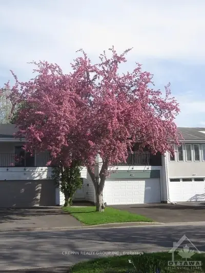 34 GRADY Crescent, South of Baseline to Knoxdale, ON K2H 5S1