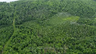 00 (b) Siberia Road, Madawaska Valley, On K0j 1b0