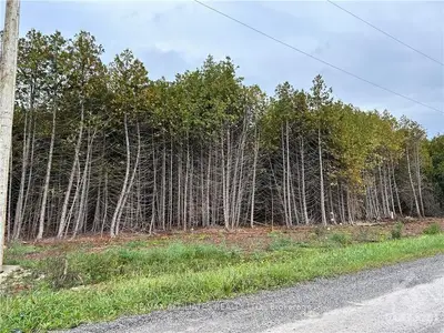0 Rocksprings Road, Elizabethtown-kitley, On K0g 1r0