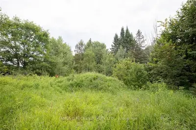 Pt Lot 3 Gleason Lane, Laurentian Hills, On K0j 1p0