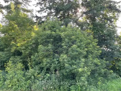 3142 Lally Road, Tay Valley, On K7h 3c7
