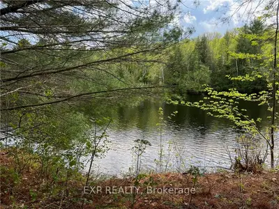 Lot 39 Sandy Shores Trail, Madawaska Valley, On K0j 1b0