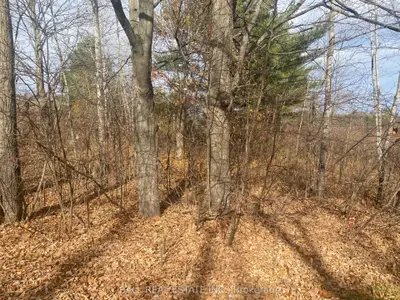 Vacant Land in Trent Hills