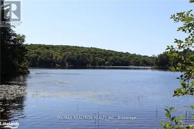 Detached in Lake of Bays
