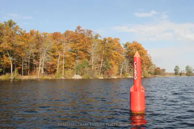 Vacant Land in Trent Lakes