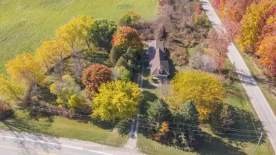 Detached in Brant
