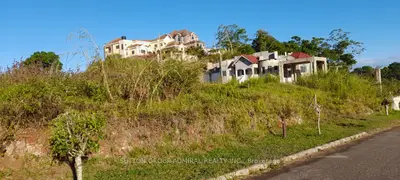 Vacant Land in Jamaica