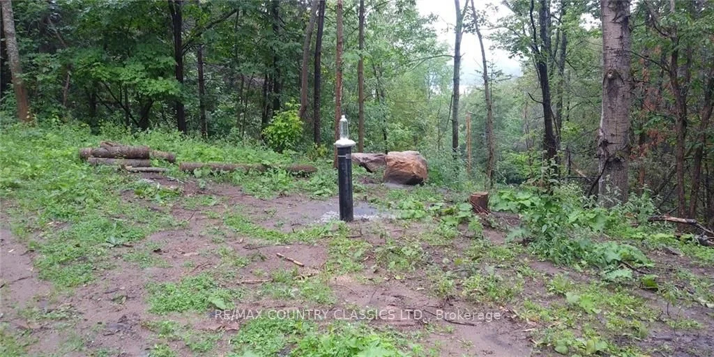 47 Arbor Vitae Road, Madawaska Valley, On K0j 1b0
