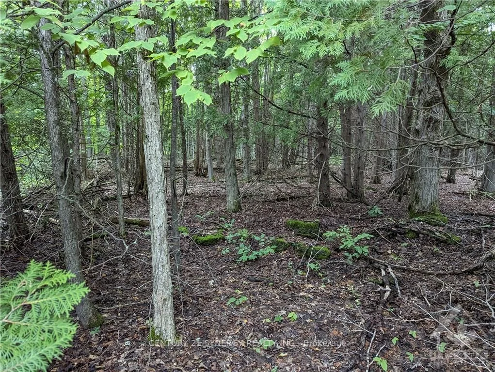 99 Mulvaugh Road, Elizabethtown-kitley, On K0e 1h0