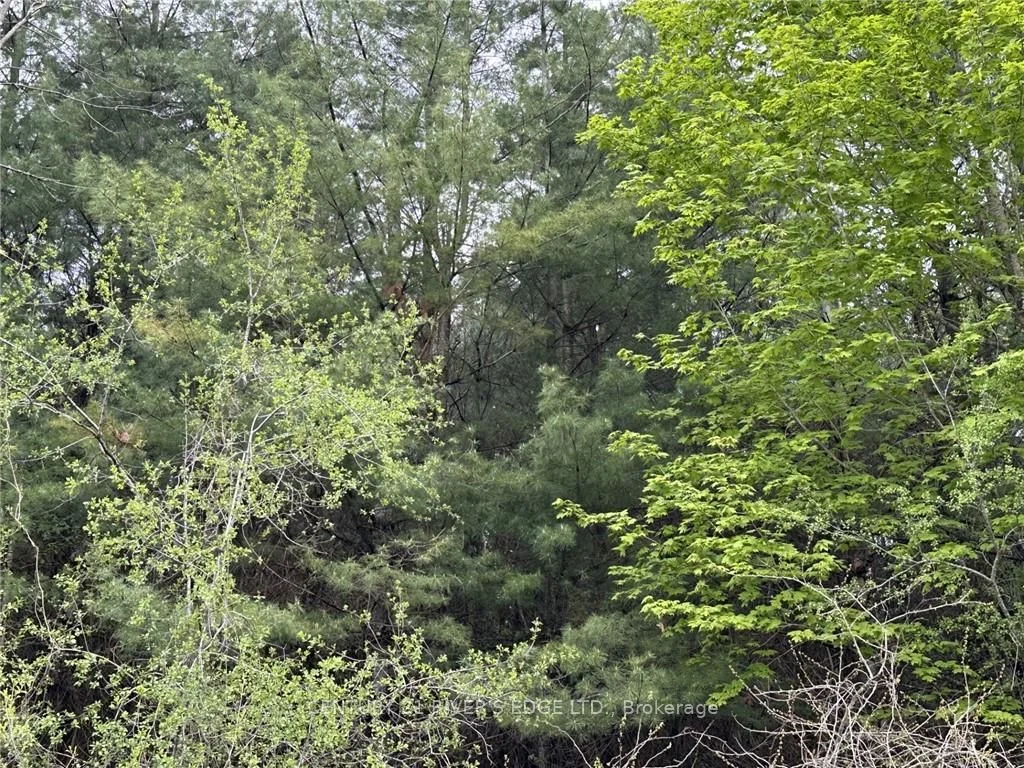 12082 LAND O'NOD Road, Merrickville-Wolford, ON K0G 1R0