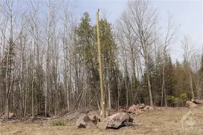 462 Wilson Farm Road, Greater Madawaska, On K0j 1h0