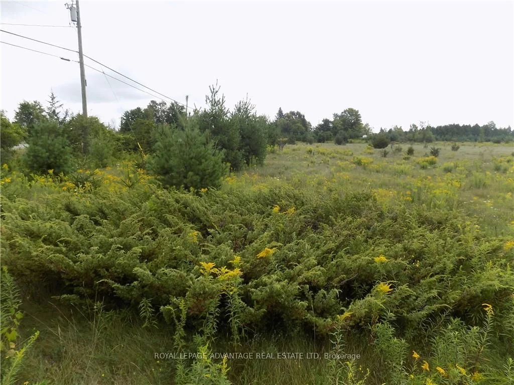 0 Hwy 43 Road W, Drummond/north Elmsley, On K7h 3c7