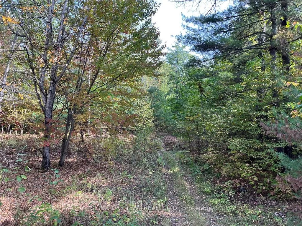 0 CONSTANT LAKE Road, Bonnechere Valley, ON K0J 1T0