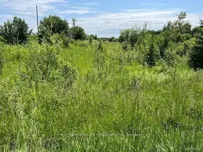 Vacant Land in South Glengarry