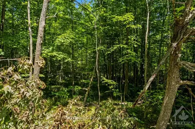 Vacant Land in Frontenac