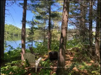 Vacant Land in Madawaska Valley