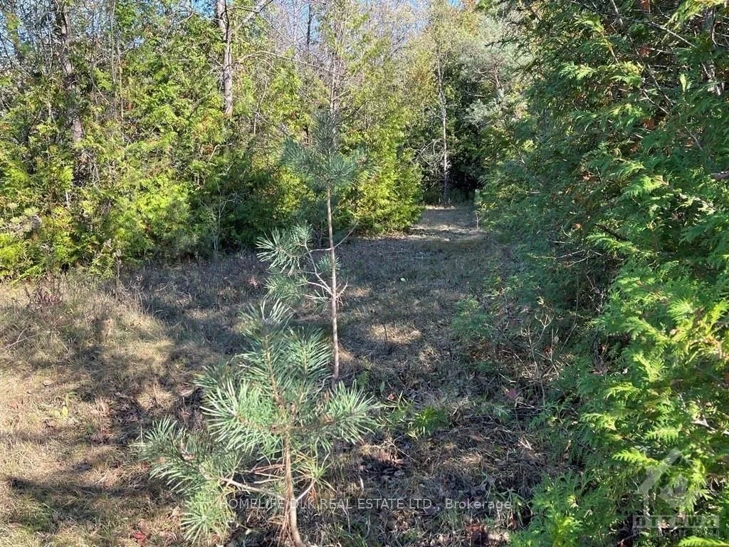 00 LAND O'NOD Road, Merrickville-Wolford, ON K0G 1R0