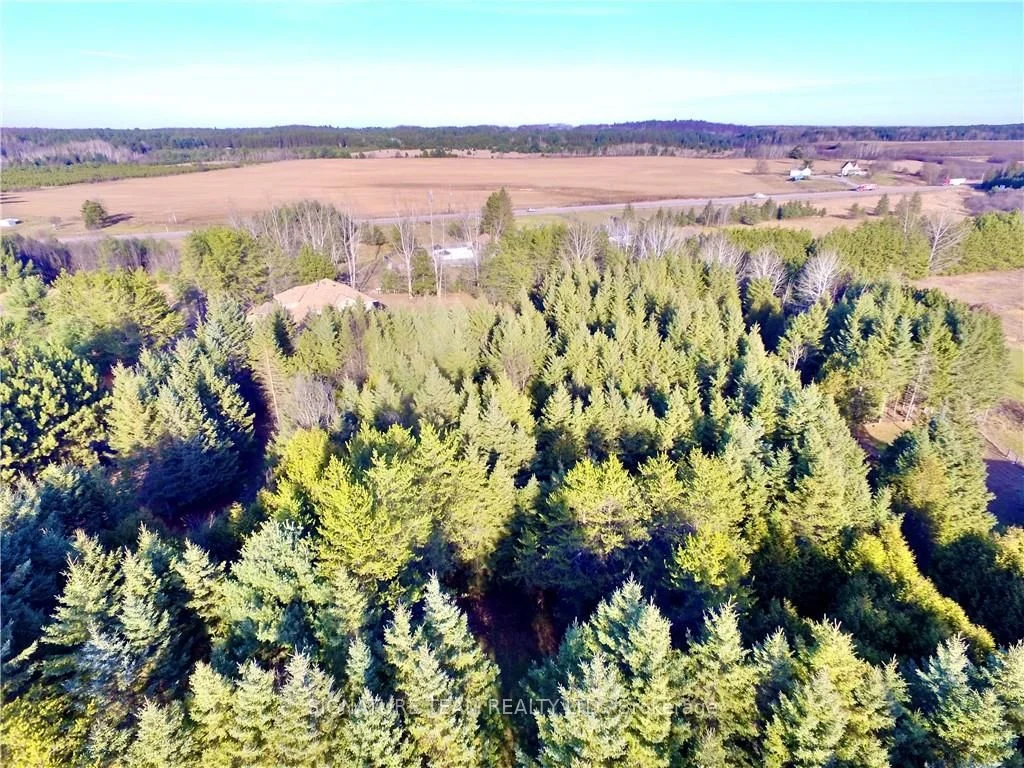 000 Dombroskie Road, Whitewater Region, ON K0J 1Y0