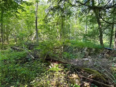 Vacant Land in Rideau Lakes
