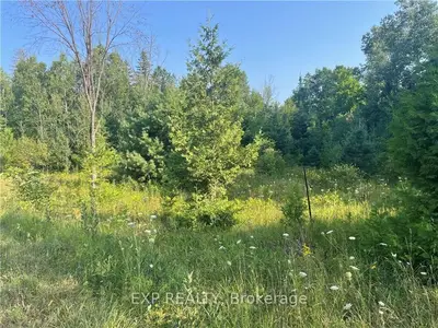 Vacant Land in Madoc