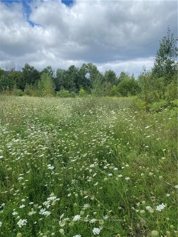 00 JEAN Avenue, Laurentian Valley, ON K8A 5H9
