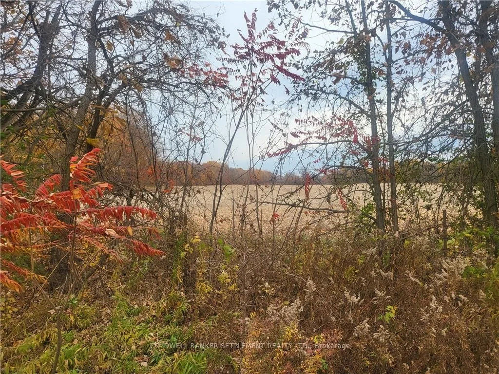 Lot 1 Bush Road, Rideau Lakes, On K0g 1v0