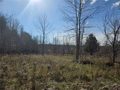 Vacant Land in Lanark Highlands